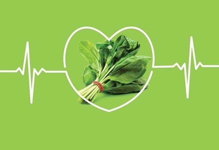 Medical Nutrition
